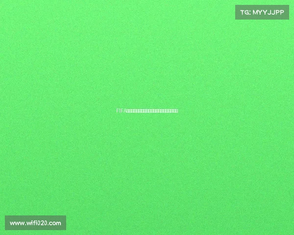 FIFA世界杯是否举办及赛事情况全面解析权威解读版